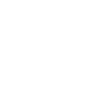 CCTV Icon-01